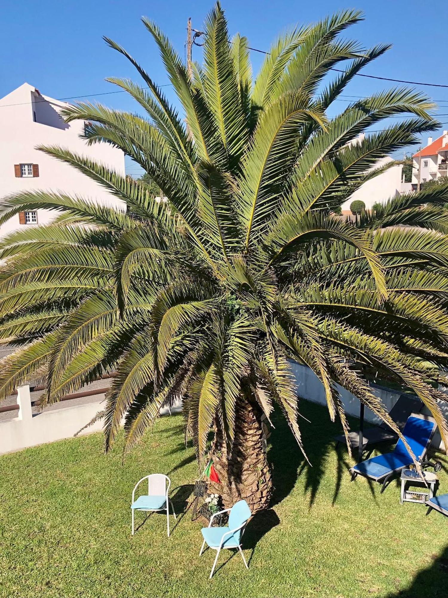 Alojamento Santa Helena Villa A dos Cunhados Kültér fotó